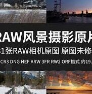 2018最新伦理在线观看-2018年最新伦理剧集，在线观看的多元视角与思考