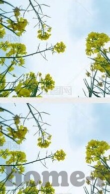 操日韩av-日韩AV文化现象的多元视角与文化交融