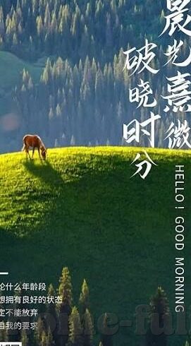 成人视频在线网站-成人视频在线网站，信息时代的隐私与边界