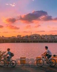 麻豆视频app安装-探索麻豆视频app的安装之旅