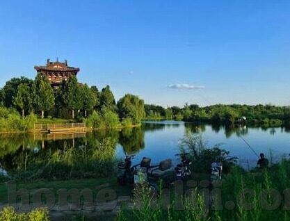 新麻豆视频-新时代的视觉盛宴，新麻豆视频的潮流探索